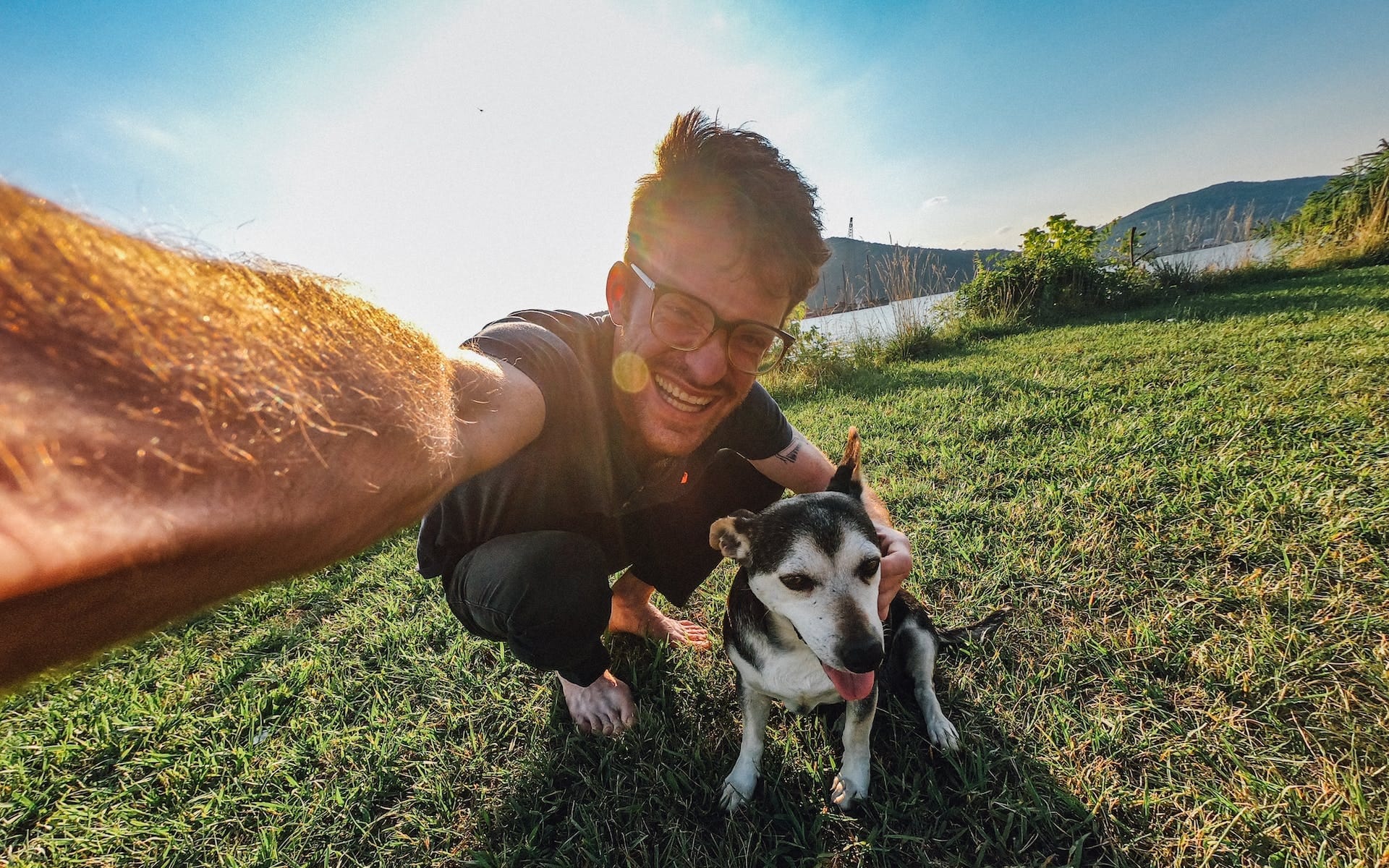 Dog selfie