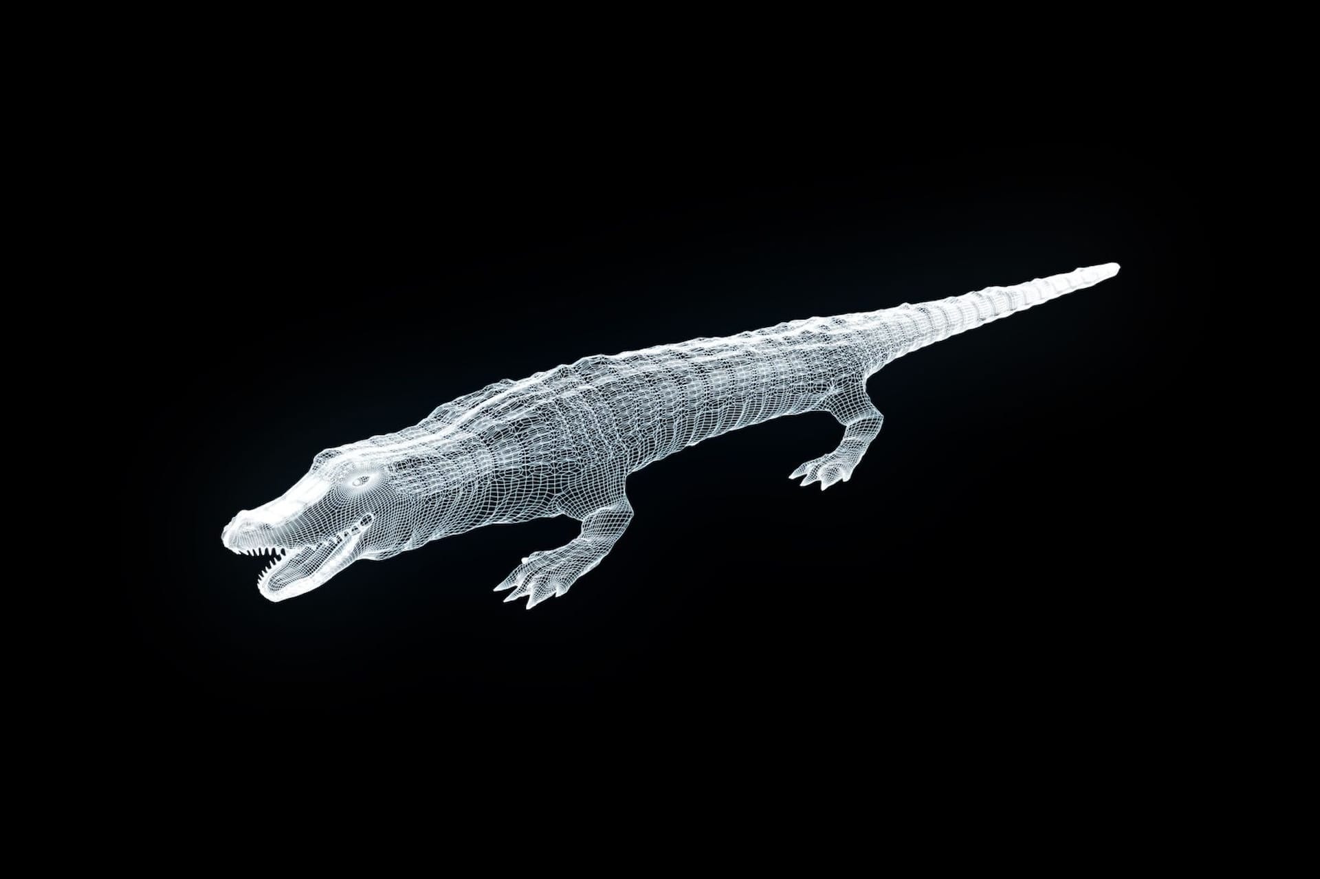 Crocodile