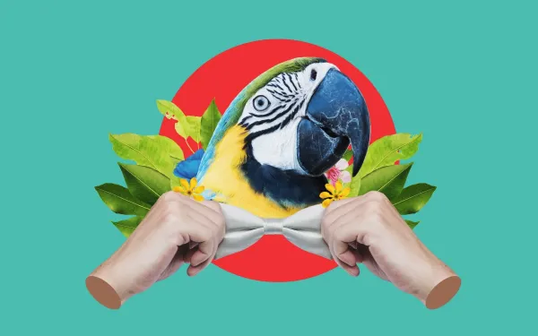 Parrot wearing a bow tie, adjusted by two hands